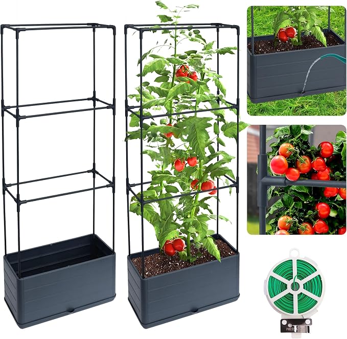 2 Packs Raised Garden Bed Tomato Planter Box by Biotolot