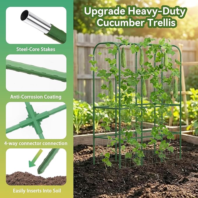 65" Tall Cucumber Trellis for Raised Bed, Garden Trellis for Climbing Plants - Image 2