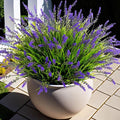 Artificial Faux Plants Flowers for Outdoor Decorations, Fake Monkey Grass for by Ammyoo