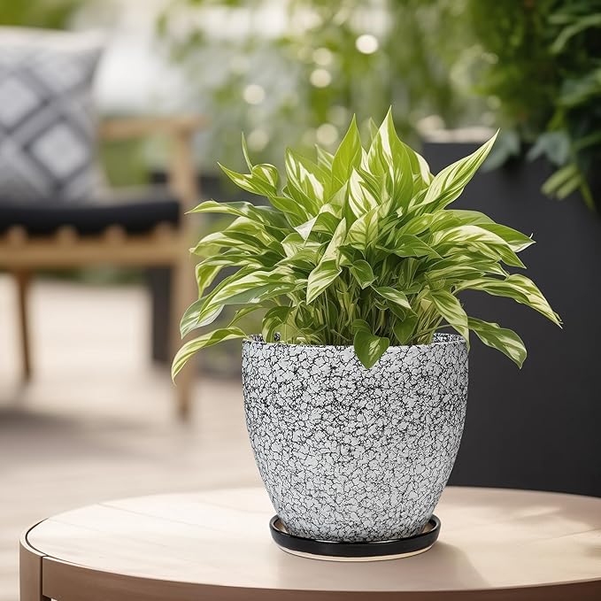 Ceramic Planter - Image 4