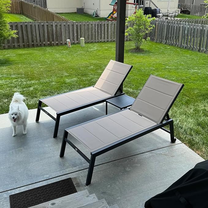 PURPLE LEAF Extra Large Outdoor Chaise Lounge 2 Pieces Aluminum Patio Lounge by PURPLELEAF