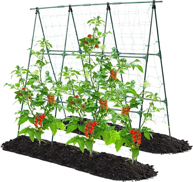 Cucumber Trellis, 50x48 inch A-Frame Garden Trellis - Image 8