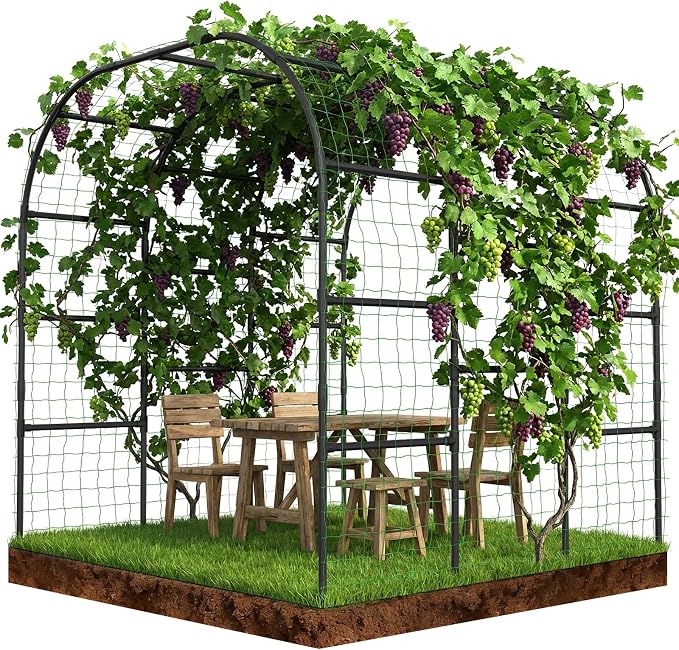 SUNYRISY Garden Arch Trellis for Climbing Plants Outdoor by SUNYRISY