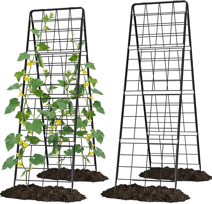 2 Pack Cucumber Trellis, Climbing Plants and Flowers by UrGROWA