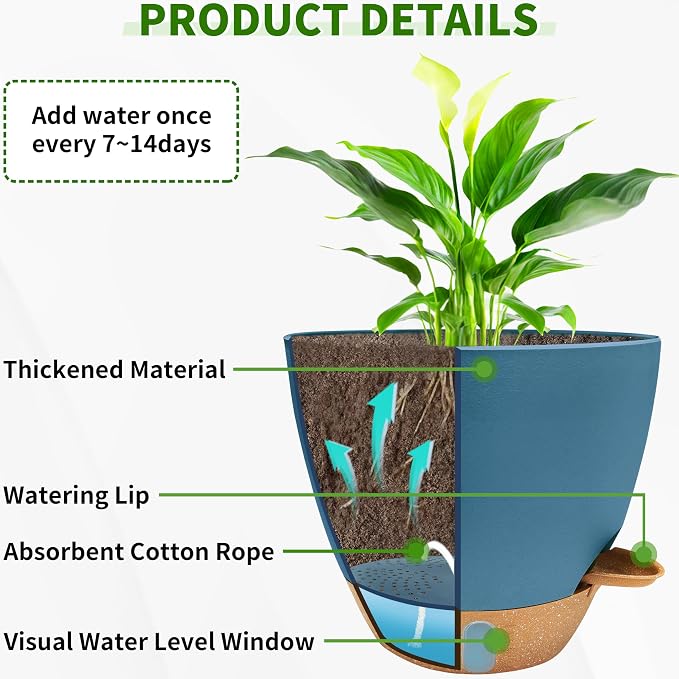 12/10/9/8 inch Self Watering Pots - Image 3
