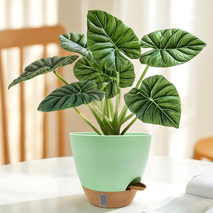 12/10/9/8 inch Self Watering Pots - Image 6