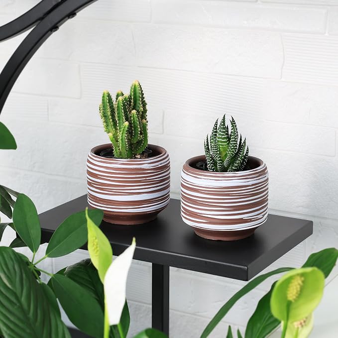 Mini Succulent Planter Set – 3.7 Inch Ceramic Pots - Image 5