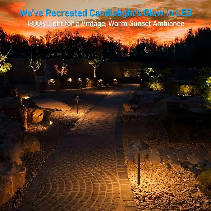 LEONLITE 5CCT Low Voltage Landscape Lights, 12-24V AC/DC, Pathway Lighting Wired - Image 4