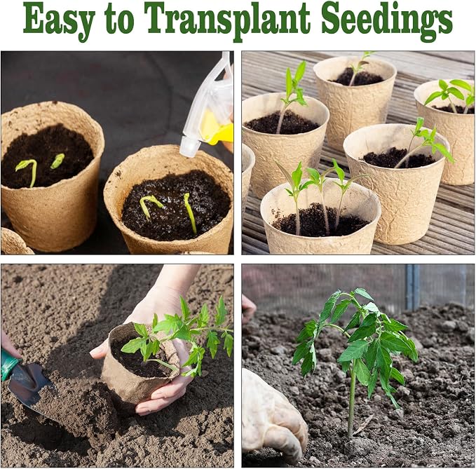 Biodegradable Peat Pots for Seedling - Image 6