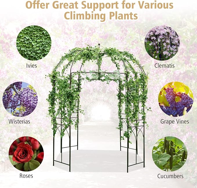 Safstar Birdcage Shape Garden Arbor, 8.4' H x 7' W Heavy-Duty Metal Pergola - Image 6