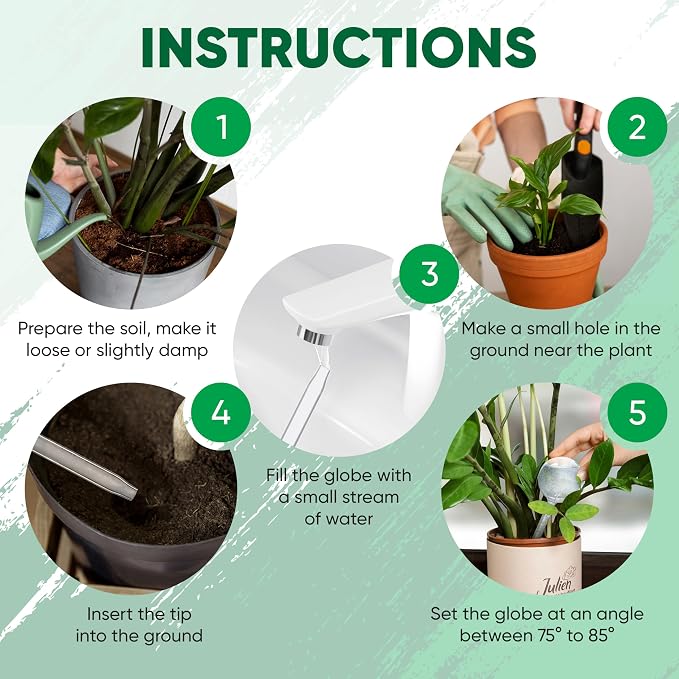 Clear Plant Watering Globes Set of 6 - Image 6