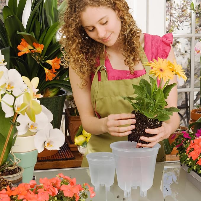 Cdd's Path 6-Pack Bare Root Planter Self Watering Pots Set - Image 3