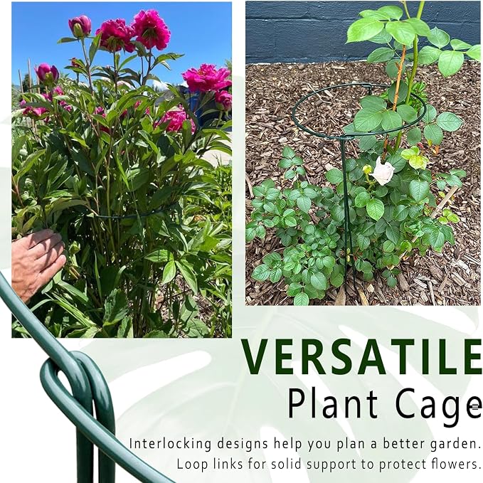 6 Pack Plant Support Stakes, 15.8" Half Round Metal Garden Plant Supports - Image 7