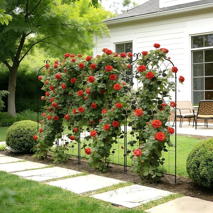 VEVOR Garden Trellis, 71 x 20 inch Rose Trellis, 4 Packs Garden Flower Rose - Image 8