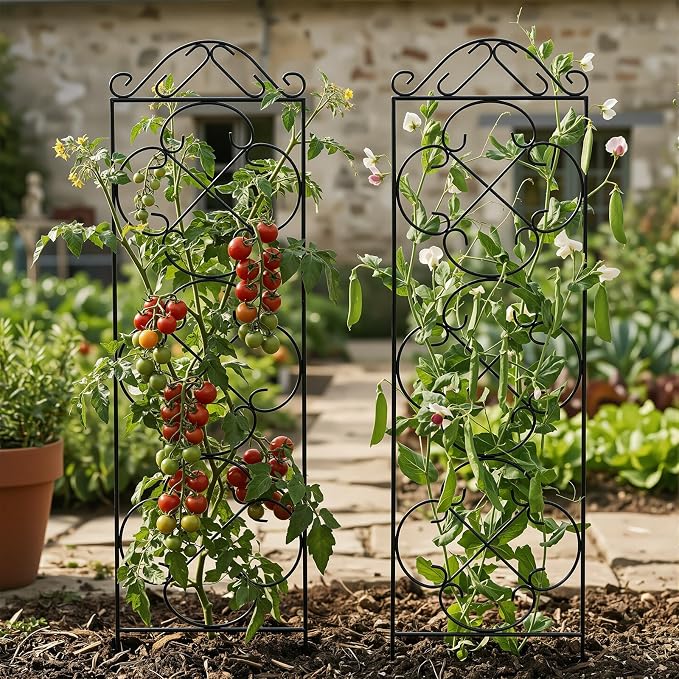 Garden Trellis 4 Pack 56'' H x 13.8'' W Metal Plant Climbing Trellis Suitable - Image 4