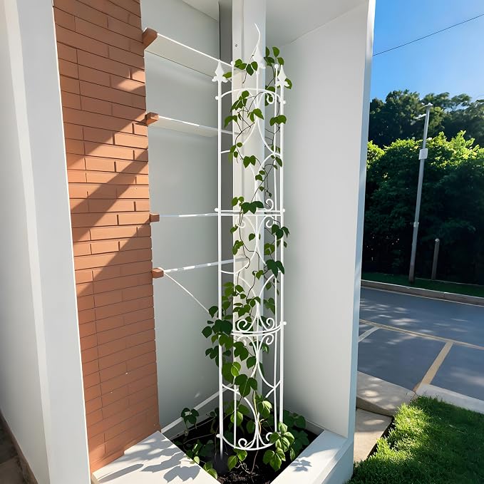 Garden Trellis 2 Pack 72'' H x 12'' W Metal Plant Trellis Indoor/Outdoor Metal - Image 4