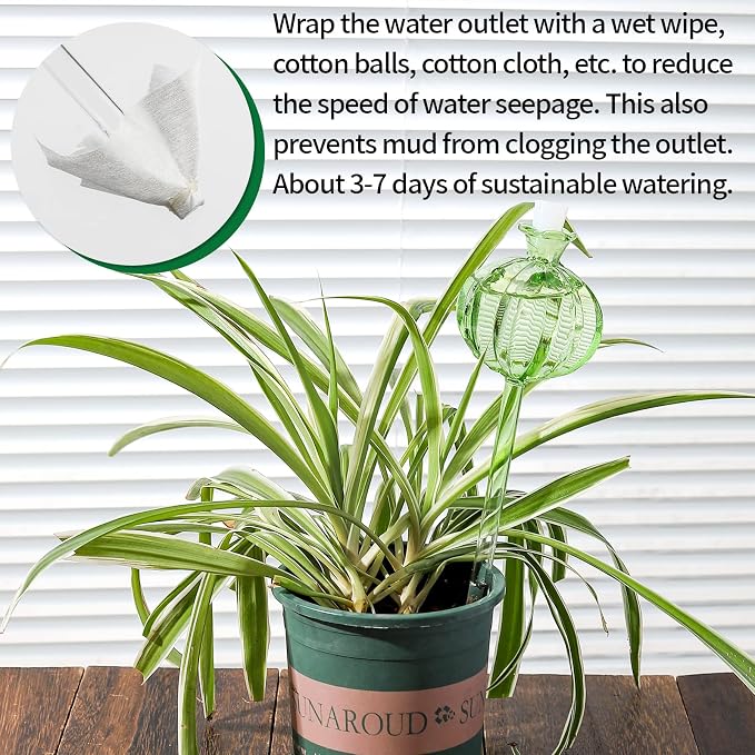 Self Watering Planter Insert. Plant Watering Devices. 3-Pack Cactus Plant - Image 5