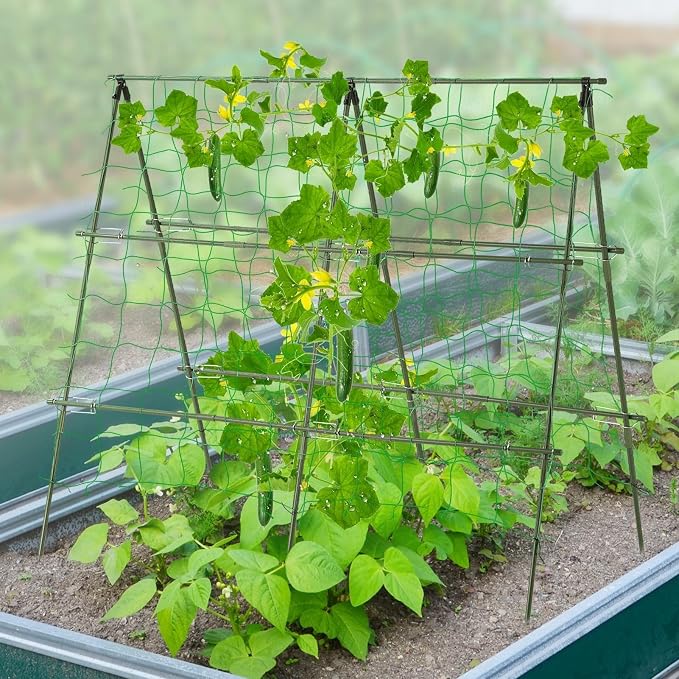 Lalahoni Cucumber Trellis, 4ft x 4ft Metal A-Frame Garden Trellis Climbing - Image 7