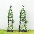 aboxoo Set of 2 Packs Sturdy Metal Garden Obelisk Trellis by aboxoo