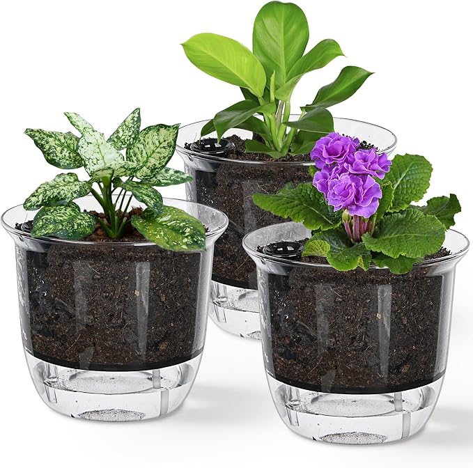 Self Watering Pots, 3 Pack 6.5/5/4 Inch Clear Plant Pot Self Watering Planter by IWNTWY