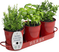 Barnyard Designs Indoor Herb Garden Planter Set by BarnyardDesigns