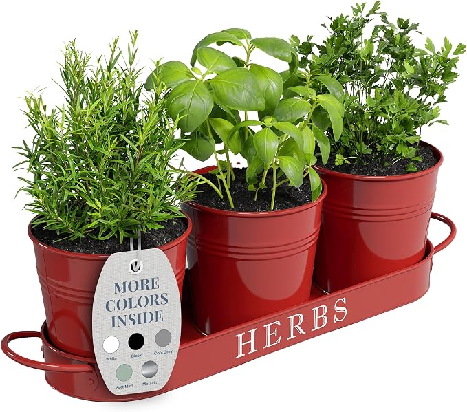 Barnyard Designs Indoor Herb Garden Planter Set by BarnyardDesigns