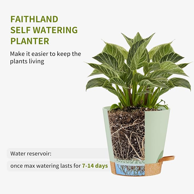 FaithLand 6-Pack Green Self Watering Planter Pots - Image 3