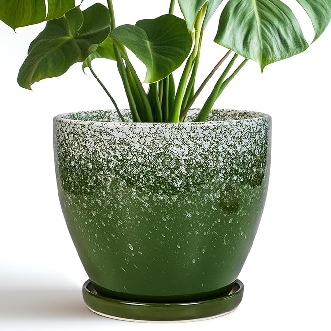 Ceramic Pots for Plants by EPFamily