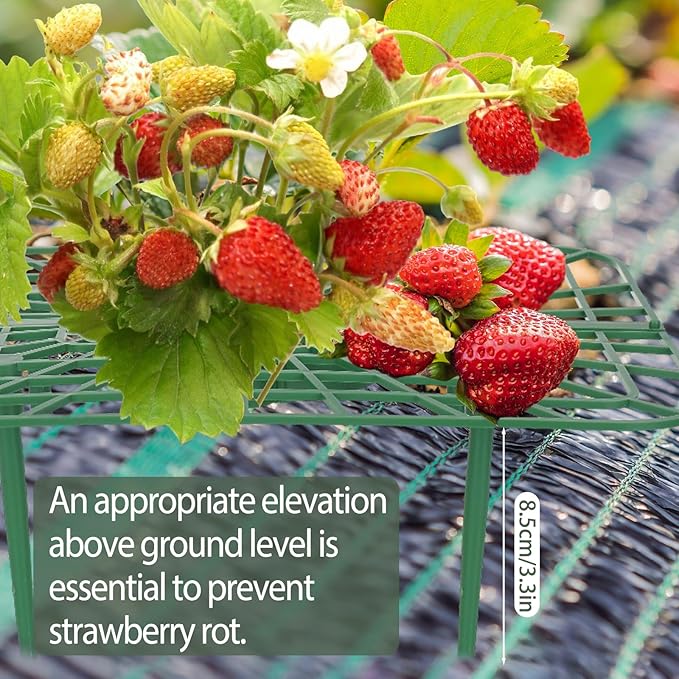 6 Sets Strawberry Plant Support - Image 6