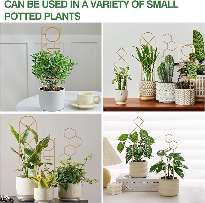 Small Trellis for Potted Plants, 15.94 inch Gold Metal Plant Trellis for - Image 7