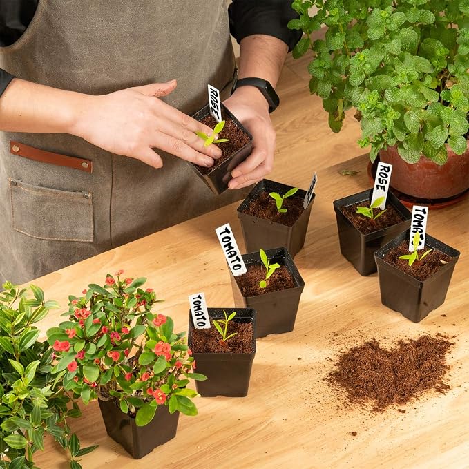 June Fox Square Nursery Pots 3.3 Inches Flexible Plastic Seedling Pots Square - Image 7