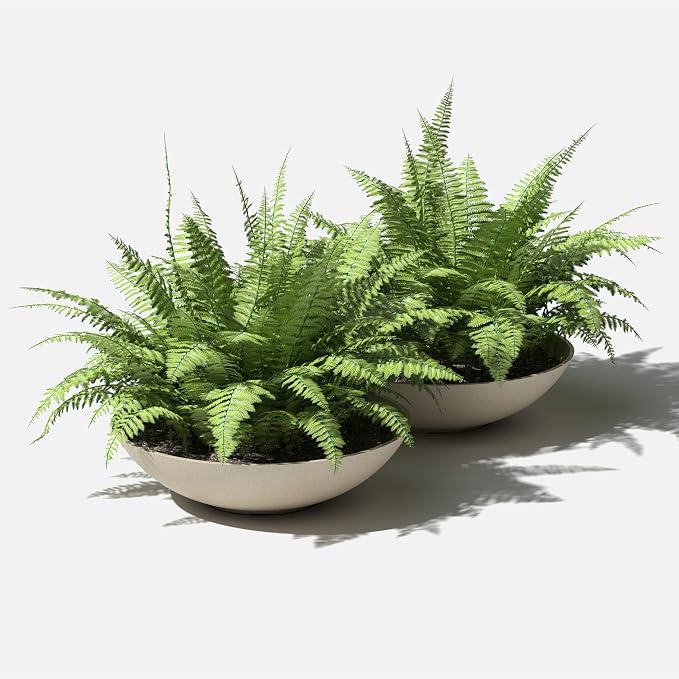 Veradek Mason Series Lane Bowl Planter| - Image 8