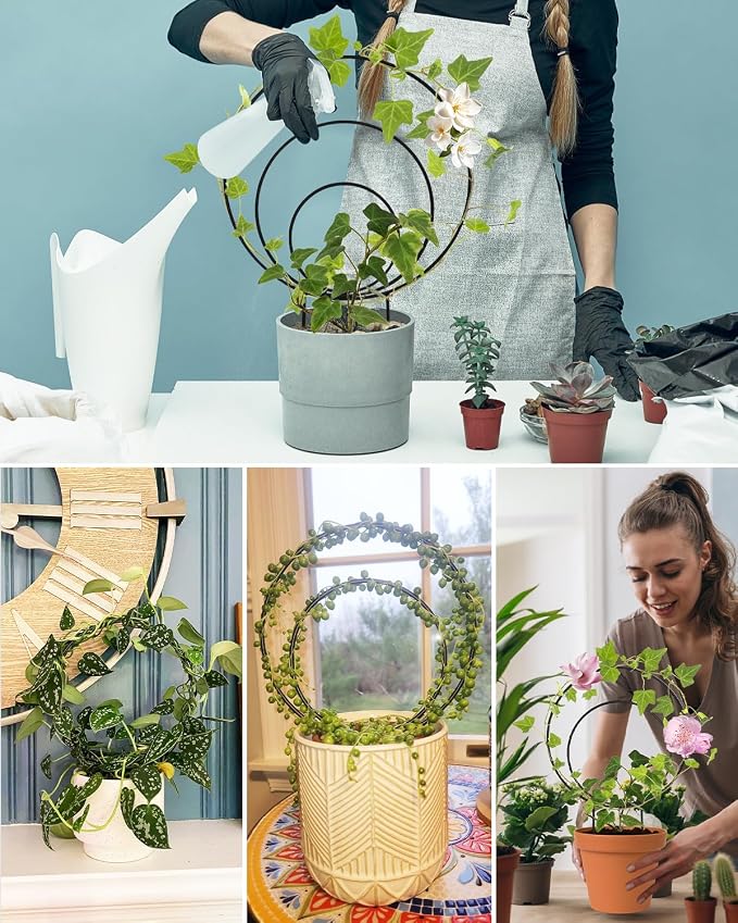 3 Pcs Unique Round Hoya Garden Trellis, Different Small Houseplant Trellis - Image 7