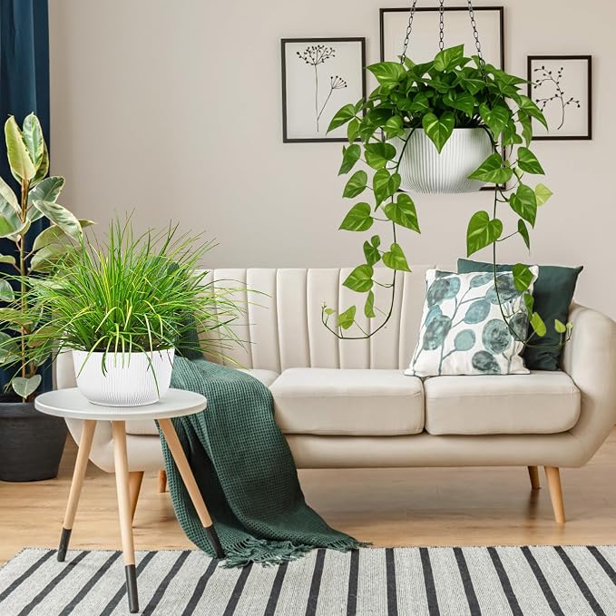 10 Inch Hanging Planters for Outdoor Indoor Plants - Image 4