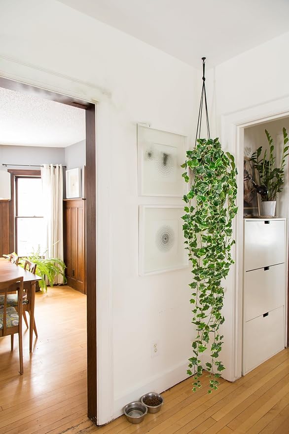 Hollyone Artificial Hanging Plants 6FT Fake Ivy Vine Faux Ivy Leaves Hanging - Image 3