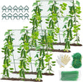 55" H x 36" W Cucumber Trellis for Raised Bed Garden, Cucumber Trelli for by MQHUAYU