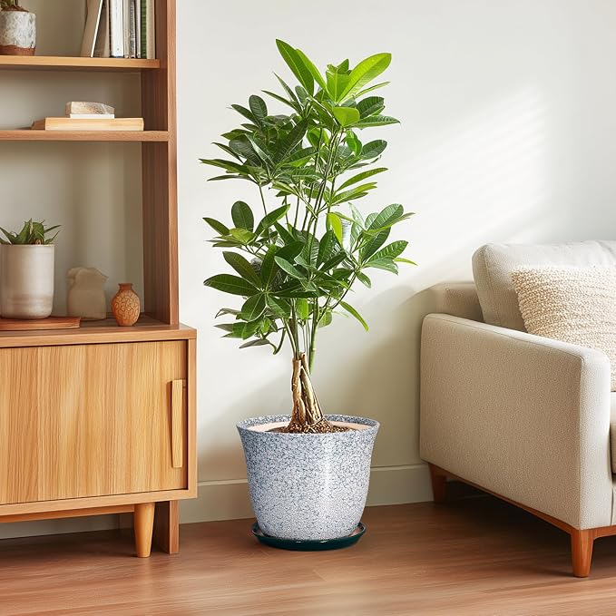 Ceramic Planter - Image 4