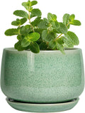 G EPGardening Ceramic Plant Pot by GEPGardening