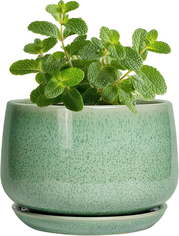 G EPGardening Ceramic Plant Pot by GEPGardening
