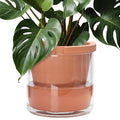 D'vine Dev 10 Inch Design Self Watering Pot by DvineDevPlanterPotsandStand
