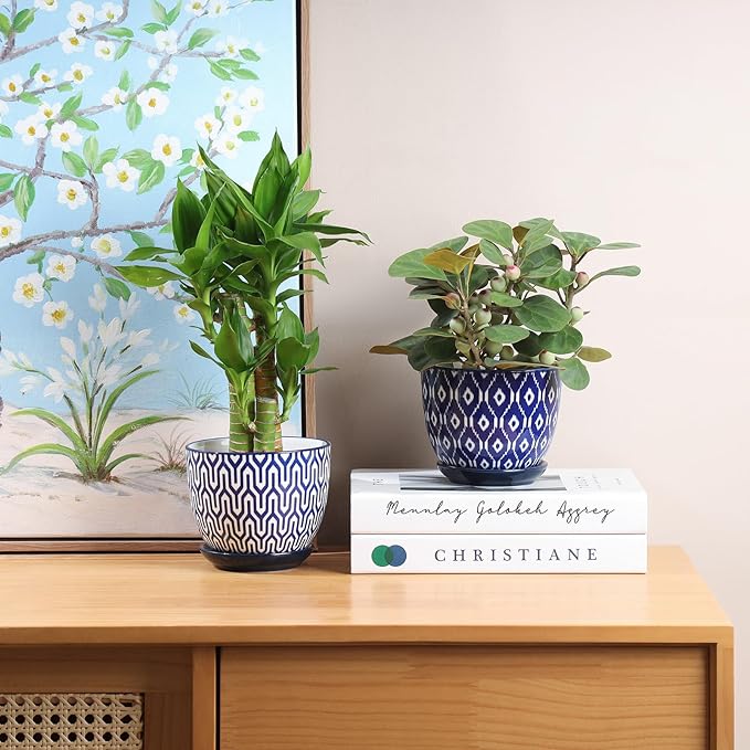 Selamica Ceramic Succulent Pots, 4.6 Inch Small Plant Pots - Image 5