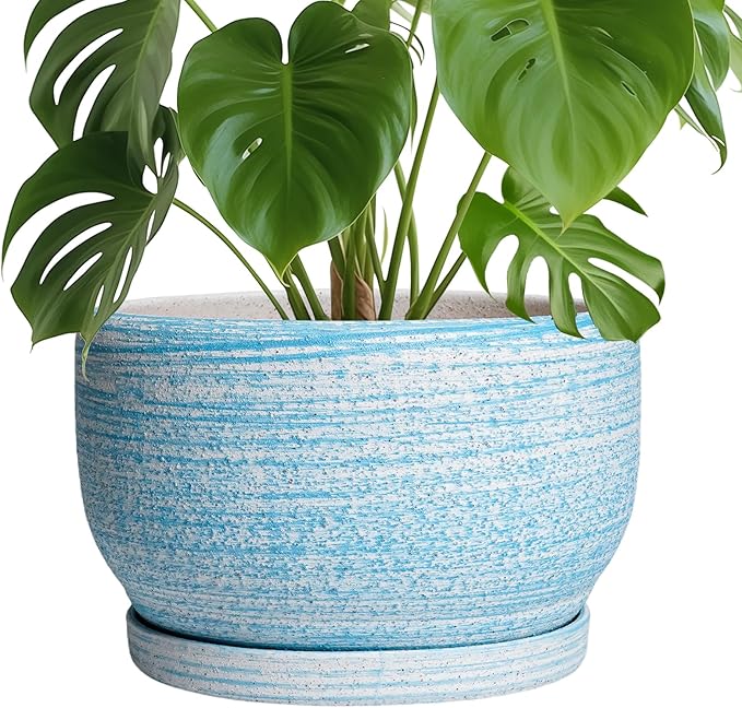 SQOWL Ceramic Plant Pots by SQOWL