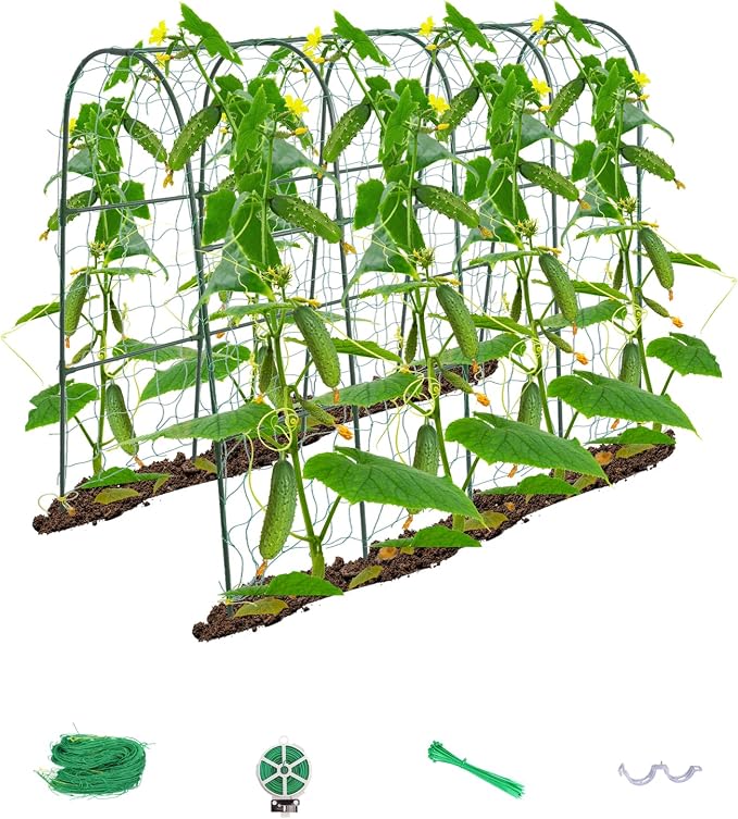 iGreely Cucumber Trellis for Raised Bed, U-Shape Garden Arch Metal Support for by iGreely