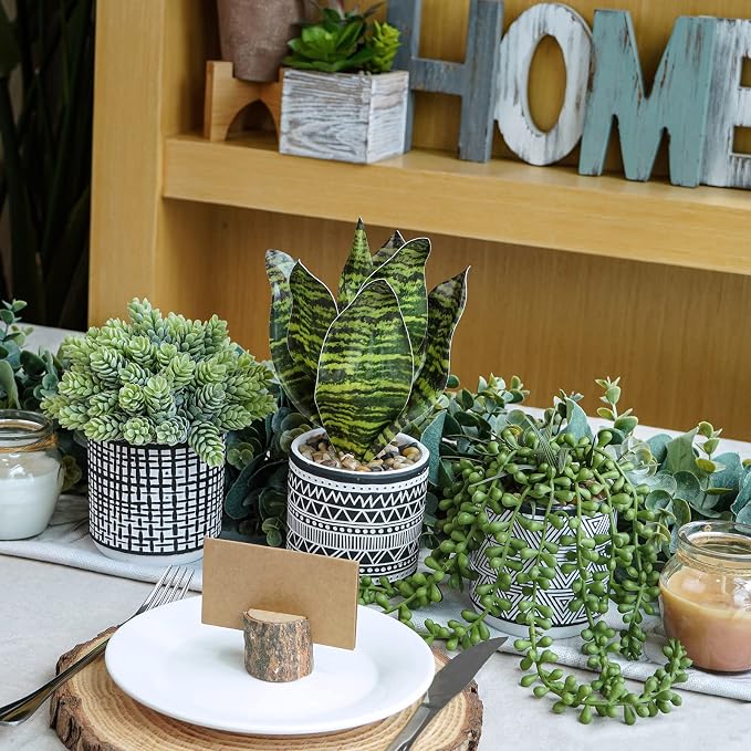 Winlyn 3 Pcs Small Potted Plants Artificial Succulents Hanging Plants and Faux - Image 9