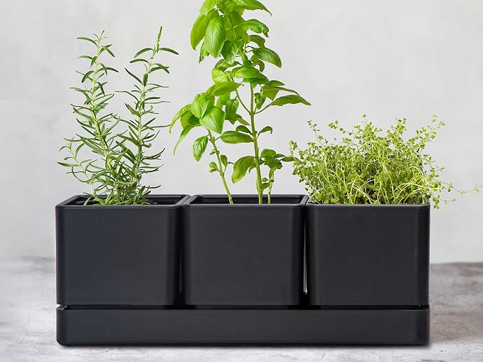 D'vine Dev Herb Garden Planter Set, Plastic Plant Pots - Image 2