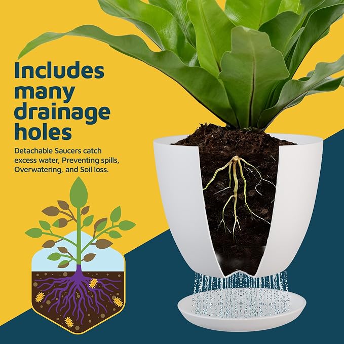 Multicolor Plant Pots with Drainage Holes & Saucers 10 Pack, Indoor & Outdoor - Image 6
