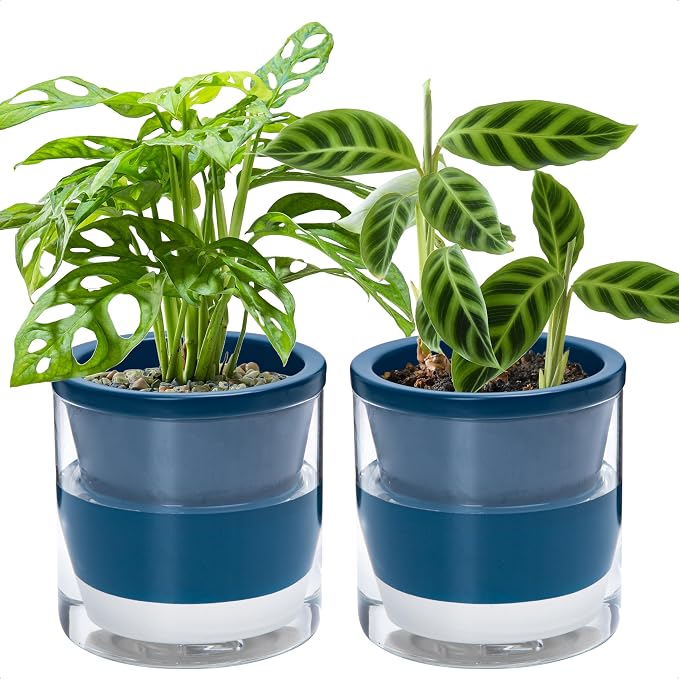 D'vine Dev 6 Inch Design Self Watering Planter by DvineDevPlanterPotsandStand