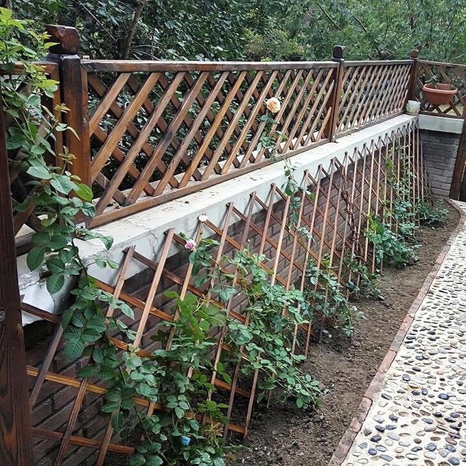 Expandable Garden Trellis - Image 8