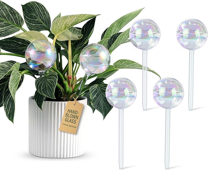 Extra-Thick Clear Glass Plant Watering Globes, Rainbow Gradient Self Watering by SoilaguaDirect