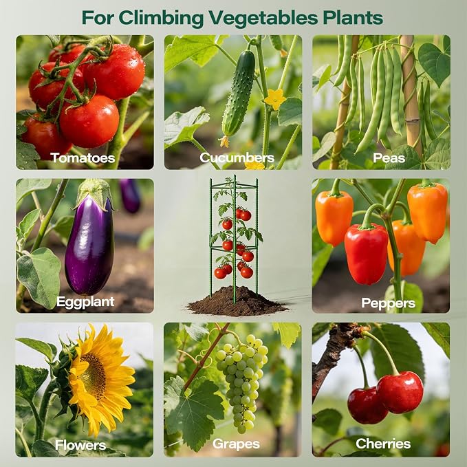 Halatool 63 Inch Tomato Cages, 4 Pack Adiustable Plant Cages Assembled Tomato - Image 7